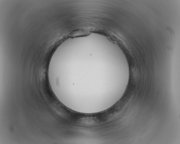 X0000113900499200910151359