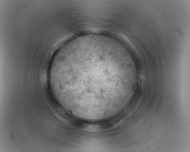 X0000113900500200910151359