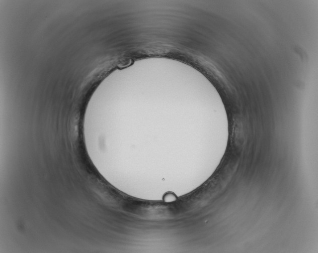 X0000113900501200910151359