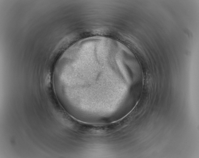 X0000113900502200910151359