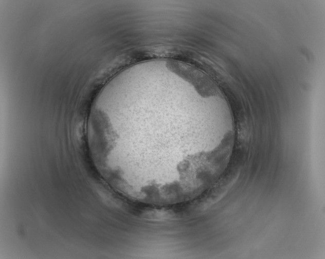 X0000113900503200910151358