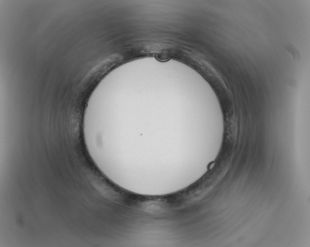 X0000113900505200910151358