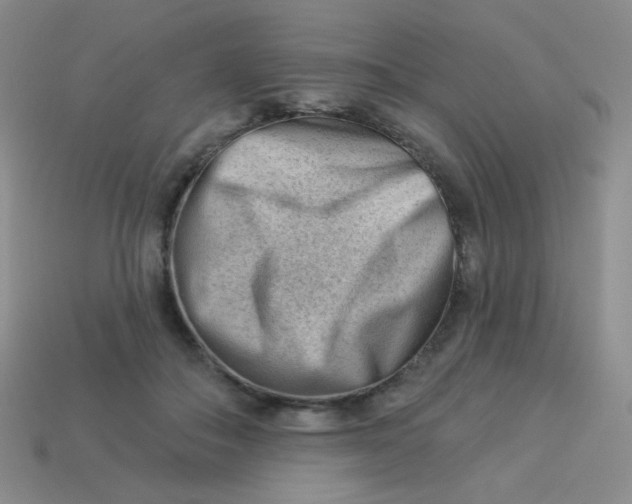 X0000113900506200910151358