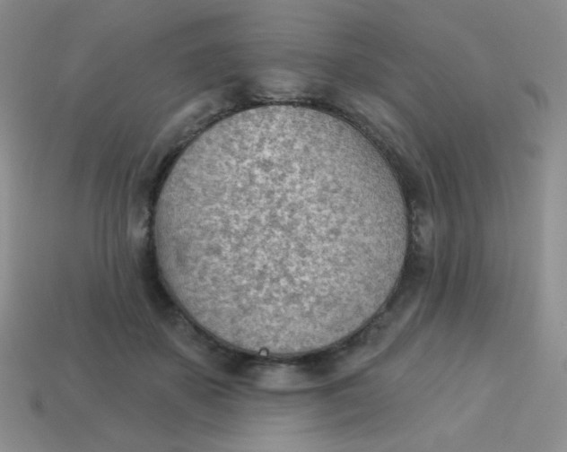 X0000113900507200910151358