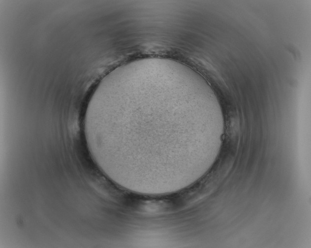 X0000113900508200910151358