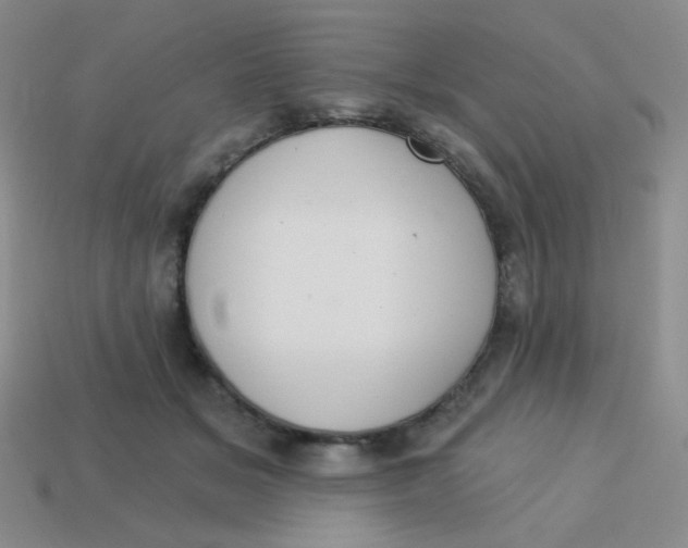 X0000113900509200910151358