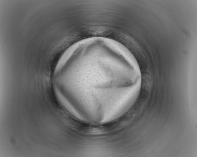 X0000113900510200910151358