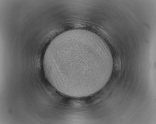 X0000113900512200910151358