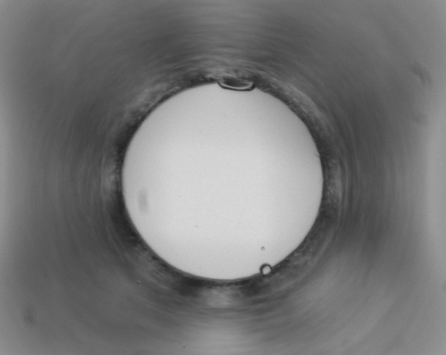 X0000113900513200910151358