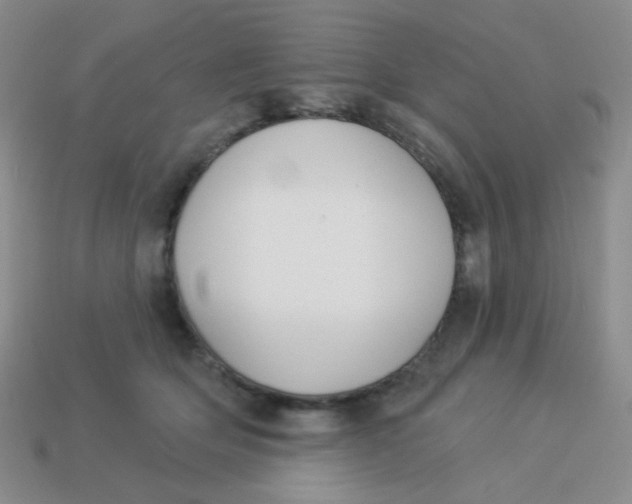 X0000113900514200910151358