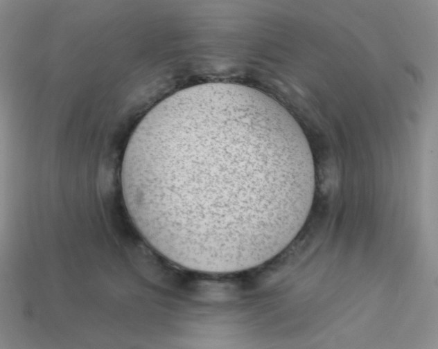 X0000113900515200910151358