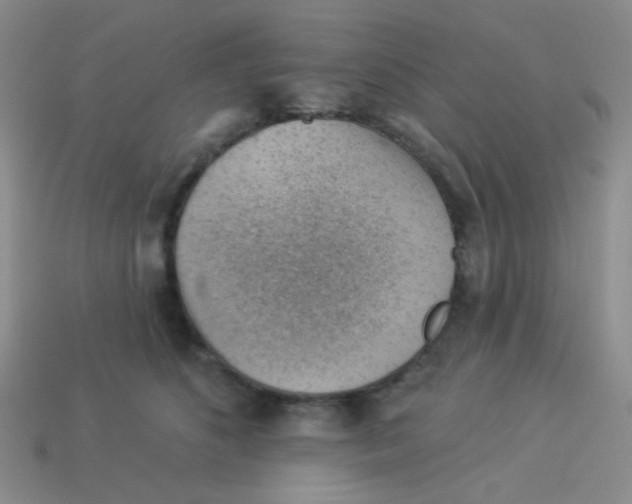 X0000113900516200910151358