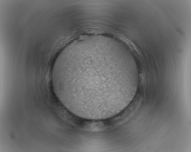 X0000113900517200910151358