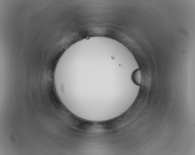 X0000113900518200910151358