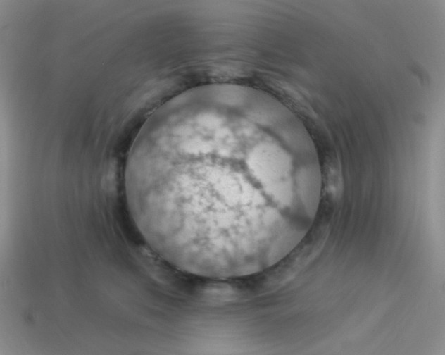 X0000113900519200910151358