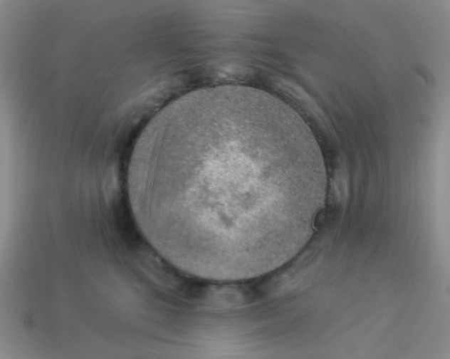 X0000113900520200910151358