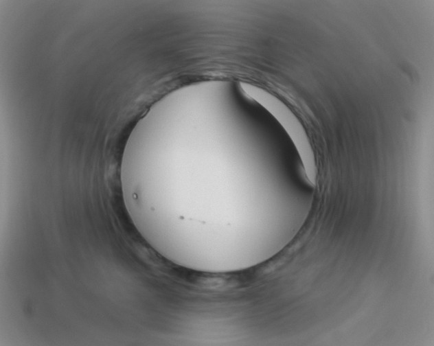 X0000113900521200910151358