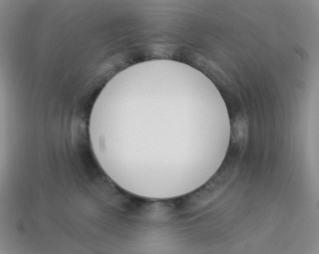 X0000113900522200910151358