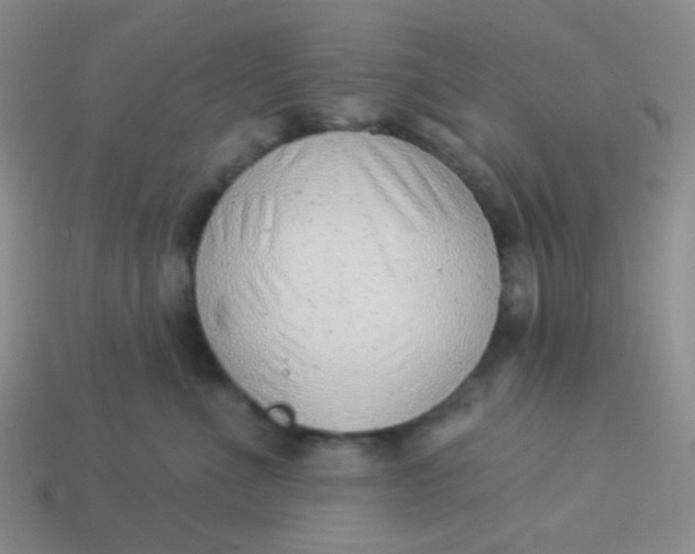 X0000113900523200910151358