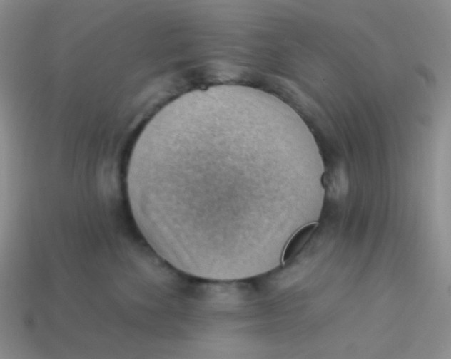 X0000113900524200910151358