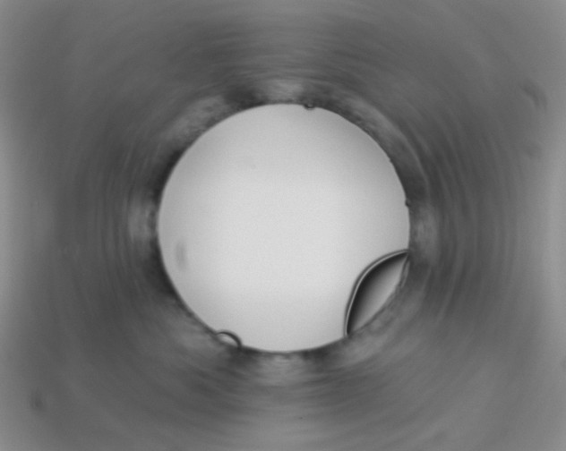 X0000113900525200910151358