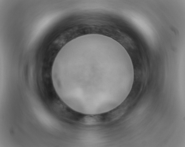 X0000113900526200910151358