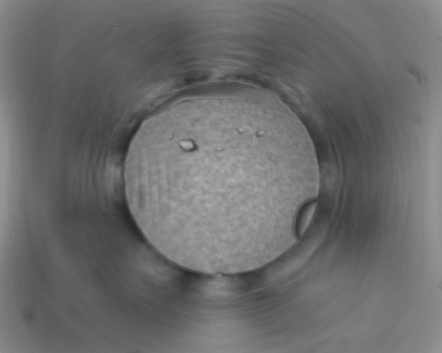 X0000113900527200910151358