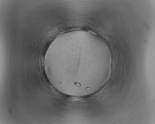 X0000113900528200910151358