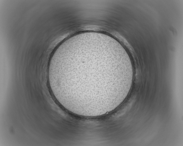 X0000113900529200910151358