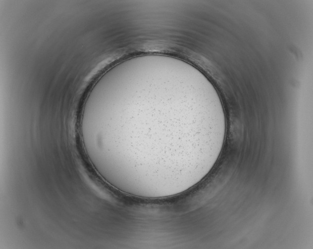 X0000113900530200910151358