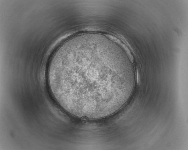 X0000113900531200910151358