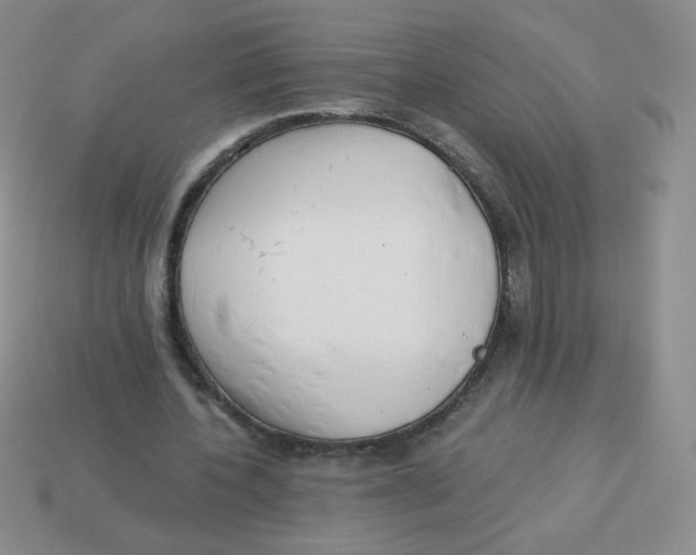 X0000113900532200910151358