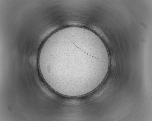 X0000113900533200910151358