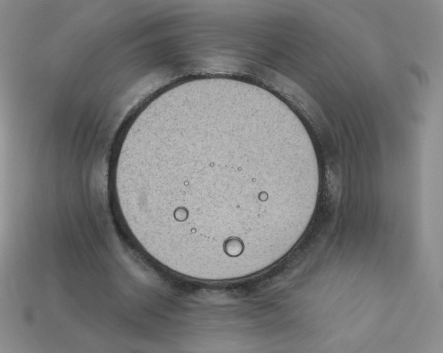 X0000113900534200910151358