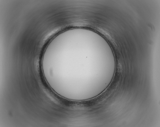 X0000113900535200910151358