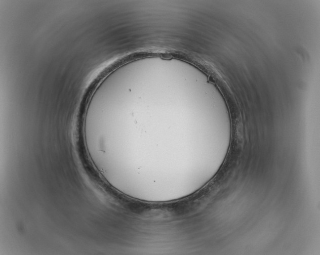 X0000113900536200910151358