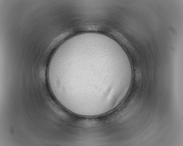 X0000113900537200910151358