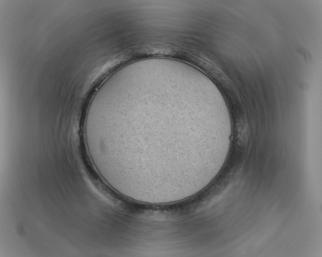 X0000113900538200910151358