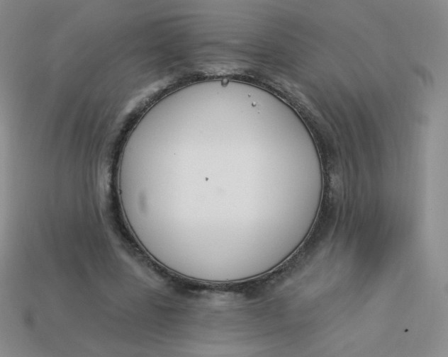 X0000113900539200910151358