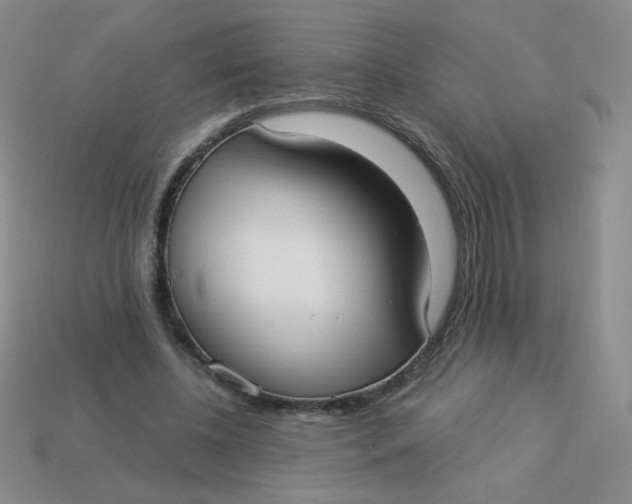 X0000113900540200910151358