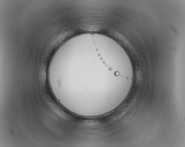 X0000113900541200910151358