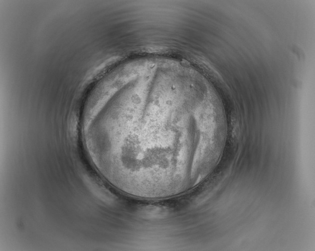 X0000113900542200910151358