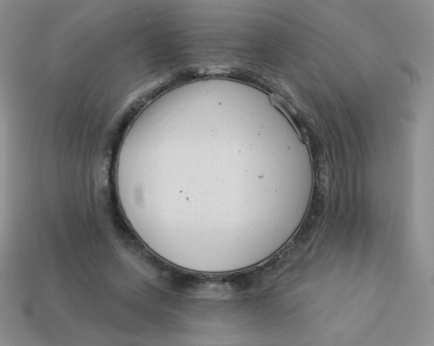 X0000113900543200910151358