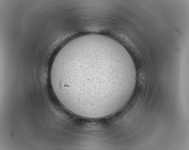 X0000113900544200910151358