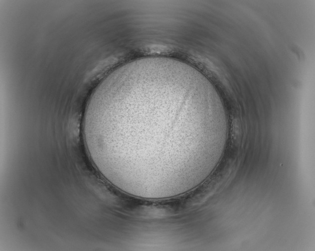 X0000113900545200910151358