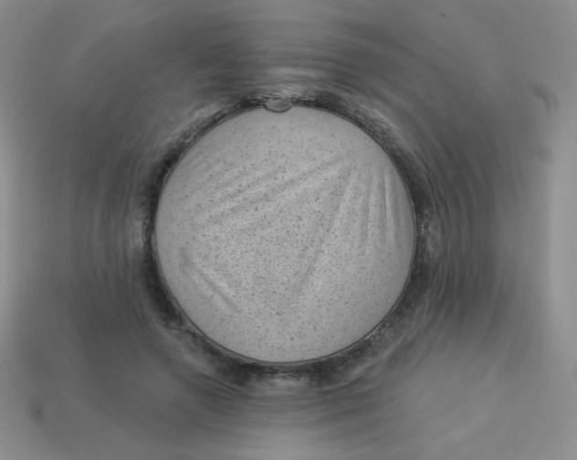 X0000113900546200910151358