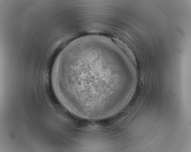 X0000113900547200910151358