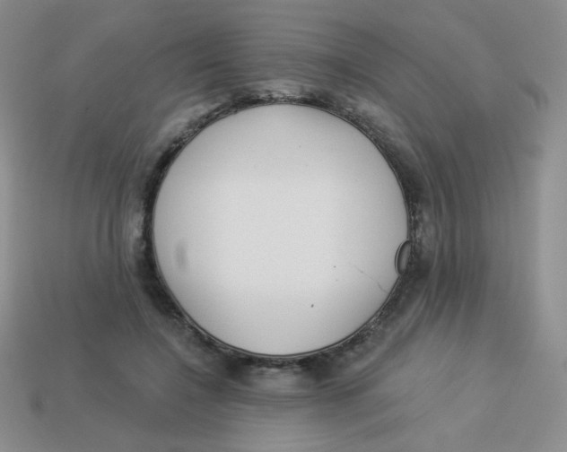 X0000113900548200910151358