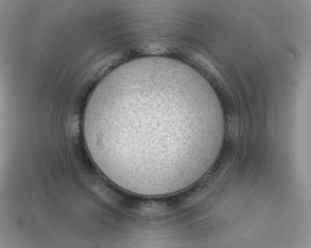 X0000113900549200910151358