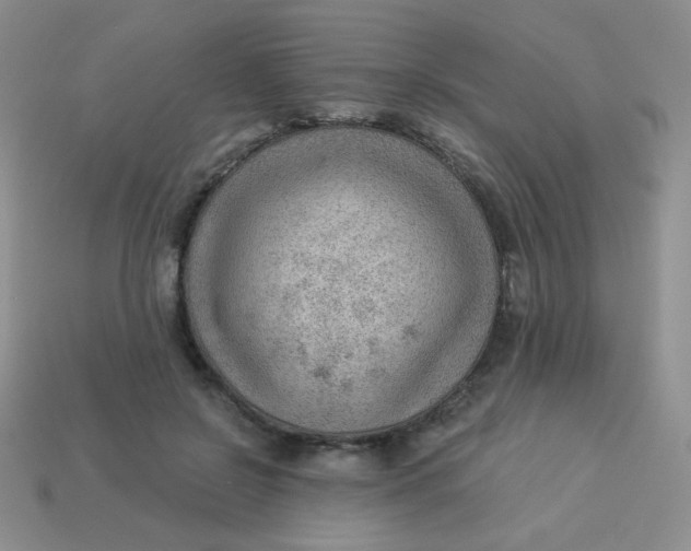 X0000113900550200910151358